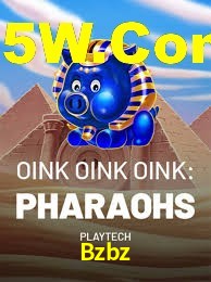 Experiência VIP Bzbz